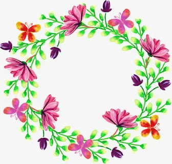 蔷薇花花藤免抠