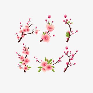 矢量精美粉色腊梅花枝免抠手绘/卡通卡通元素