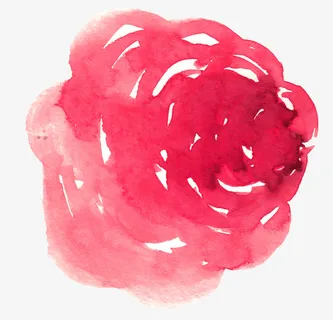 娇艳花开并蒂免抠