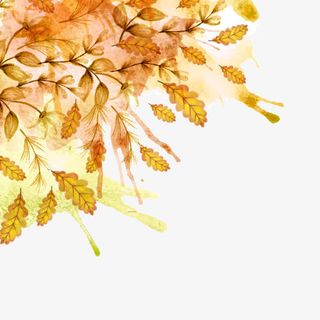 矢量秋天的落叶免抠