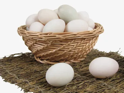 海鸭蛋免抠png图片素材免抠