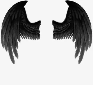 翅膀图案素材免抠