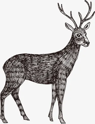 长颈鹿海报素材图片免抠