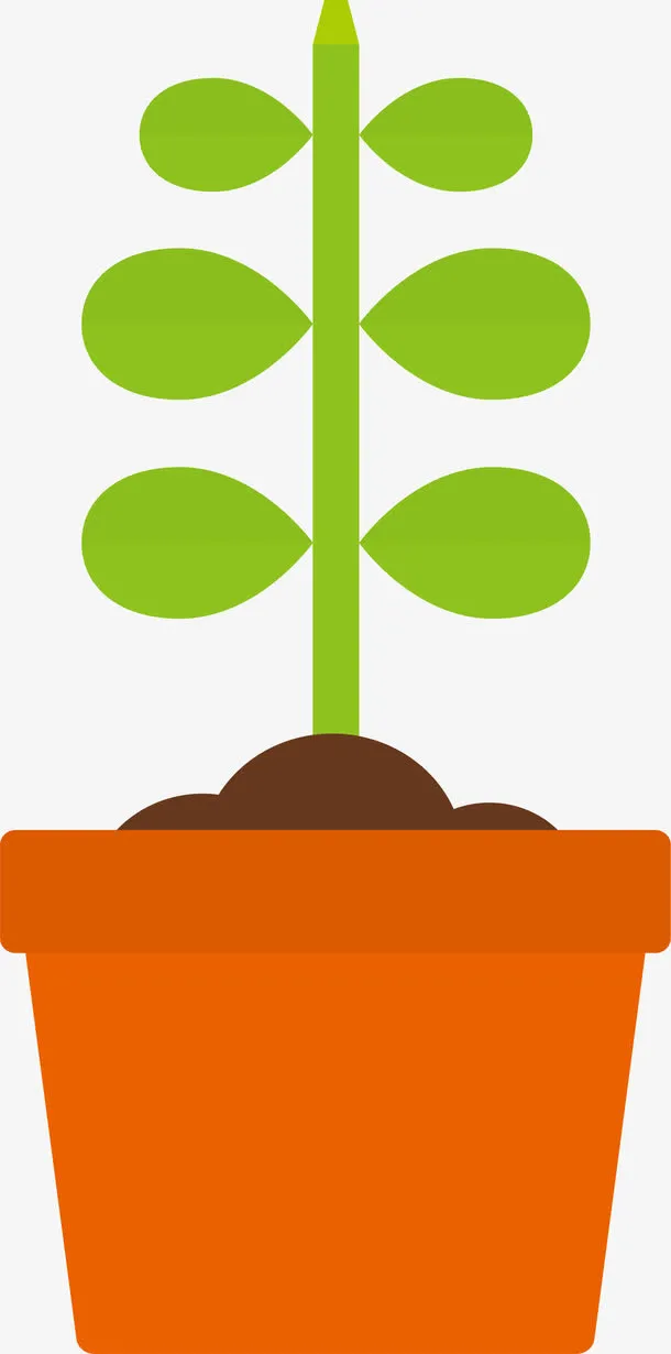 植物生长过程长树干矢量图免抠