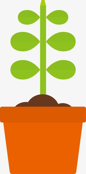 植物生长过程长树干矢量图免抠