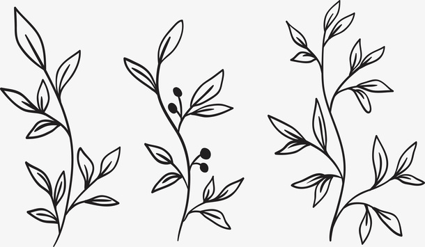 手绘浪漫树枝花纹免抠