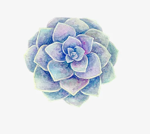 小清新插画广告设计卡通多肉盆栽免抠