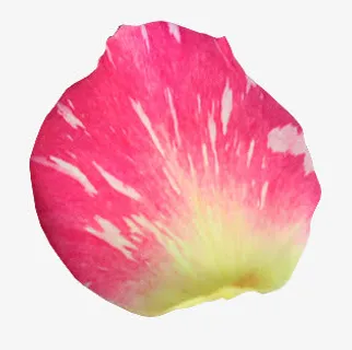 一片粉色的花瓣免抠