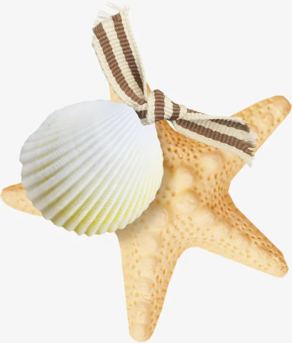 装饰元素海星免抠