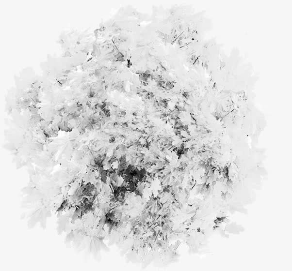 俯瞰冬季雪花植物免抠
