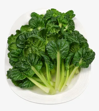 杭州盆菜叶免抠