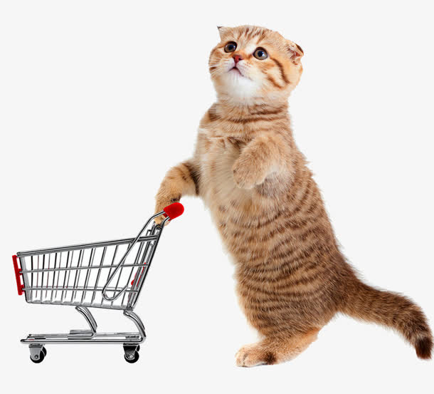 小猫购物车免抠