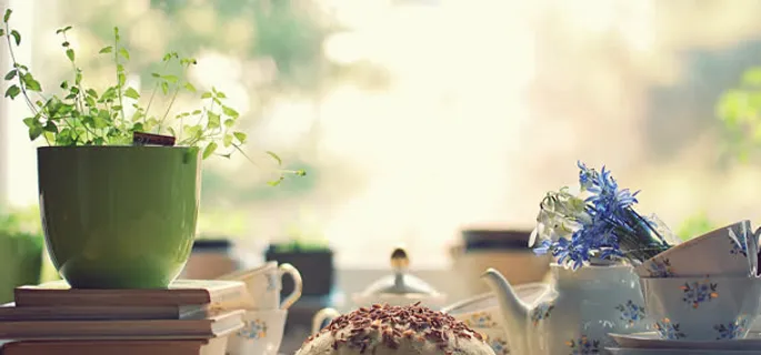 盆景植物背景免抠背景banner海报元素