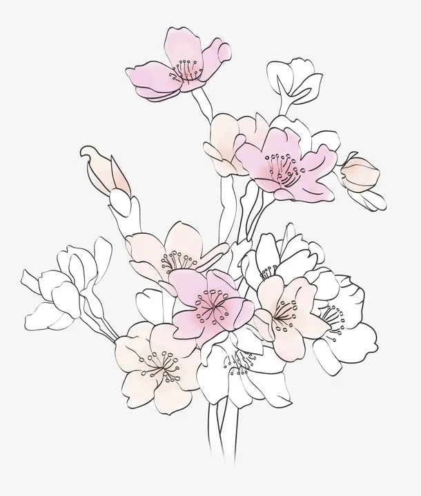 手绘水彩桃花花瓣免抠