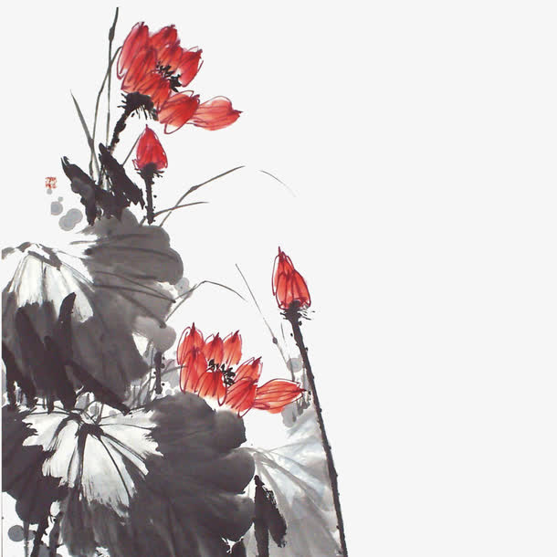 荷花免抠
