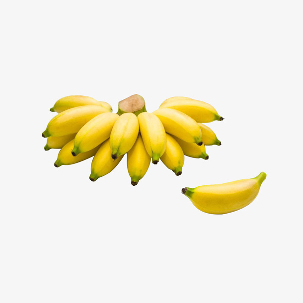 一串成熟美味的小米蕉实物免抠免抠