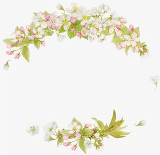 椭圆形花环免抠