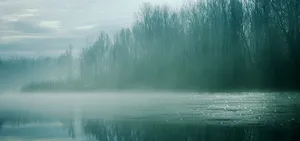 诗意雾气意境树林水墨意境的美景图片高清