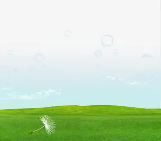 蒲公英草地免抠