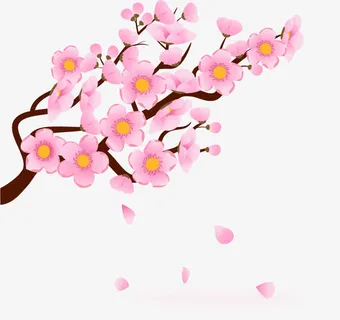 梅花矢量素材免抠