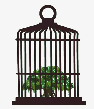 笼子里的树免抠