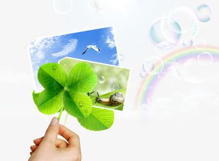 清新四叶草风景免抠