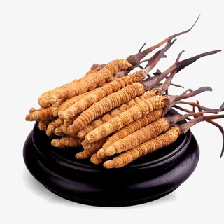 中医文化中药材冬虫夏草免抠