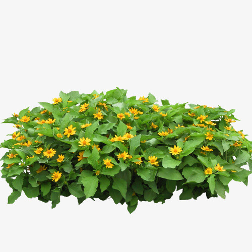 花免抠