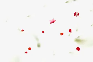 浪漫花瓣漂浮素材免抠