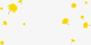 矢量手绘小菊花边框免抠