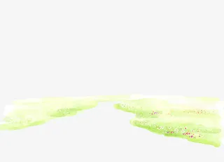 唯美的花草地免抠