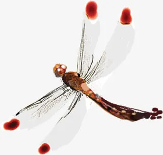 手绘白色水墨蜻蜓设计免抠