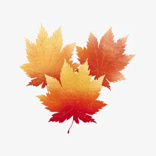 秋天的枫叶素材4免抠