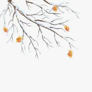 带有雪花的树枝免抠