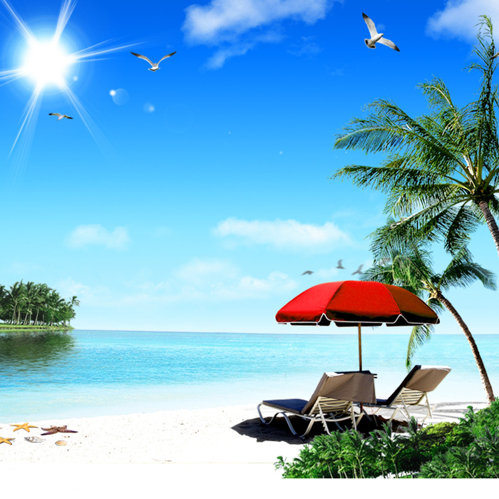 夏季海边主图高清