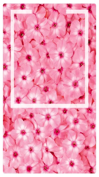 文艺清新花瓣背景高清