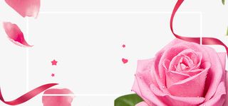 38女神节玫瑰花小清新装饰免抠