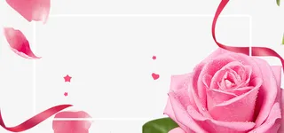 38女神节玫瑰花小清新装饰免抠