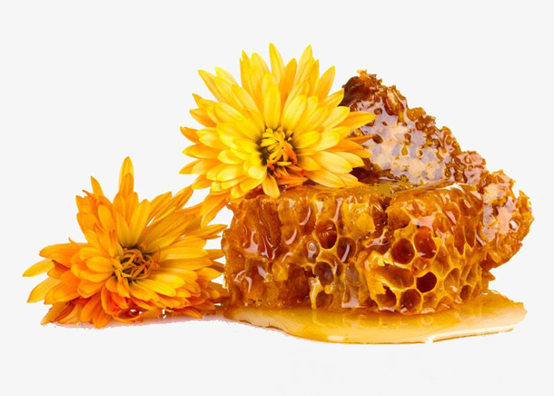 菊花蜂蜜花蜜免抠