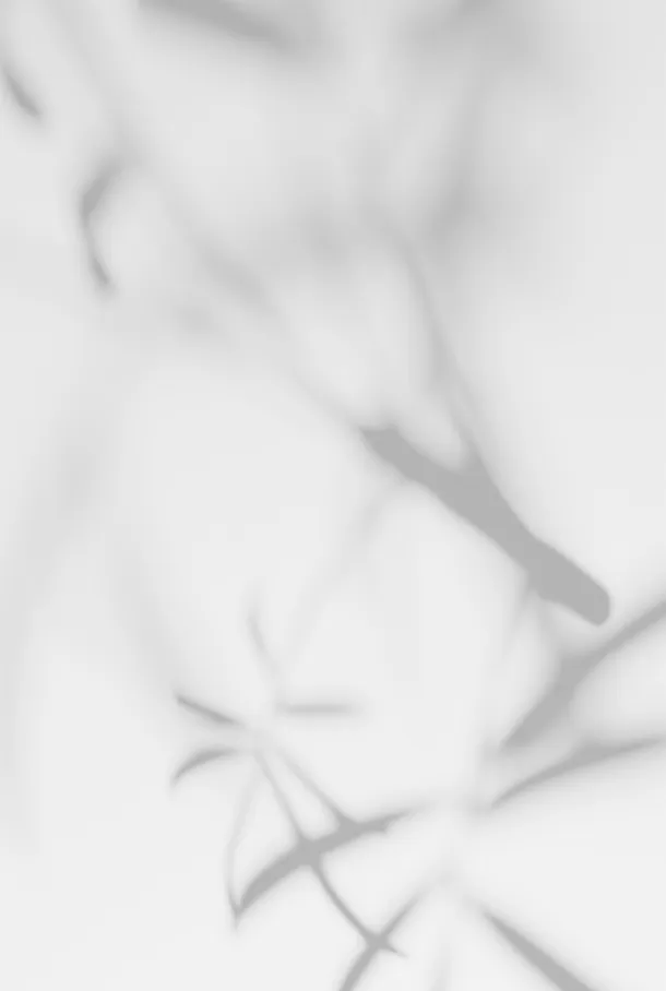 光影合集元素免抠