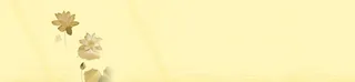 黄色荷叶背景banner