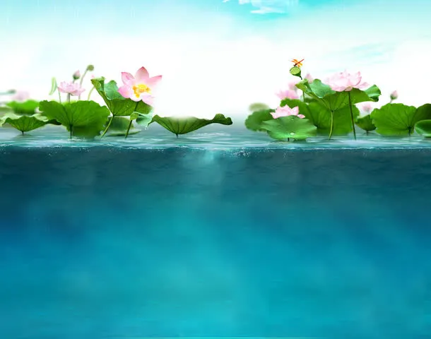 化妆品背景