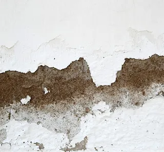 复古花纹素材底纹免抠