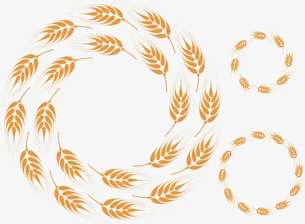 三个圆形麦子高清免扣素材免抠