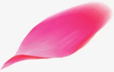 漂浮花瓣免抠