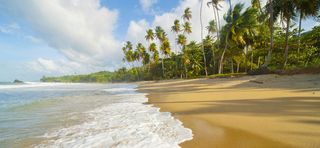 沙滩大海海报素材高清