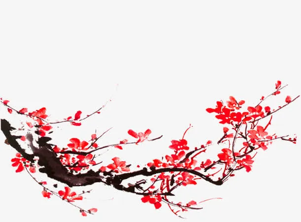 天猫海报手绘涂鸦树枝梅花免抠