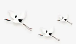 漂浮花瓣气泡简洁大方树叶树丛免抠