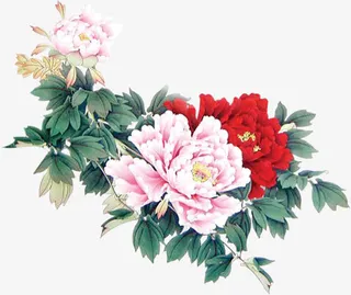 中式文艺牡丹花朵免抠