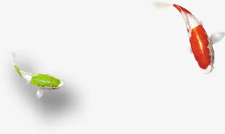 中国风红色鲤鱼免抠